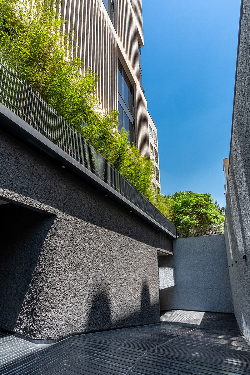 نمای ساختمان لومن از حیاط ورودی با پوشش سبز و دیوارهای بافت‌دار