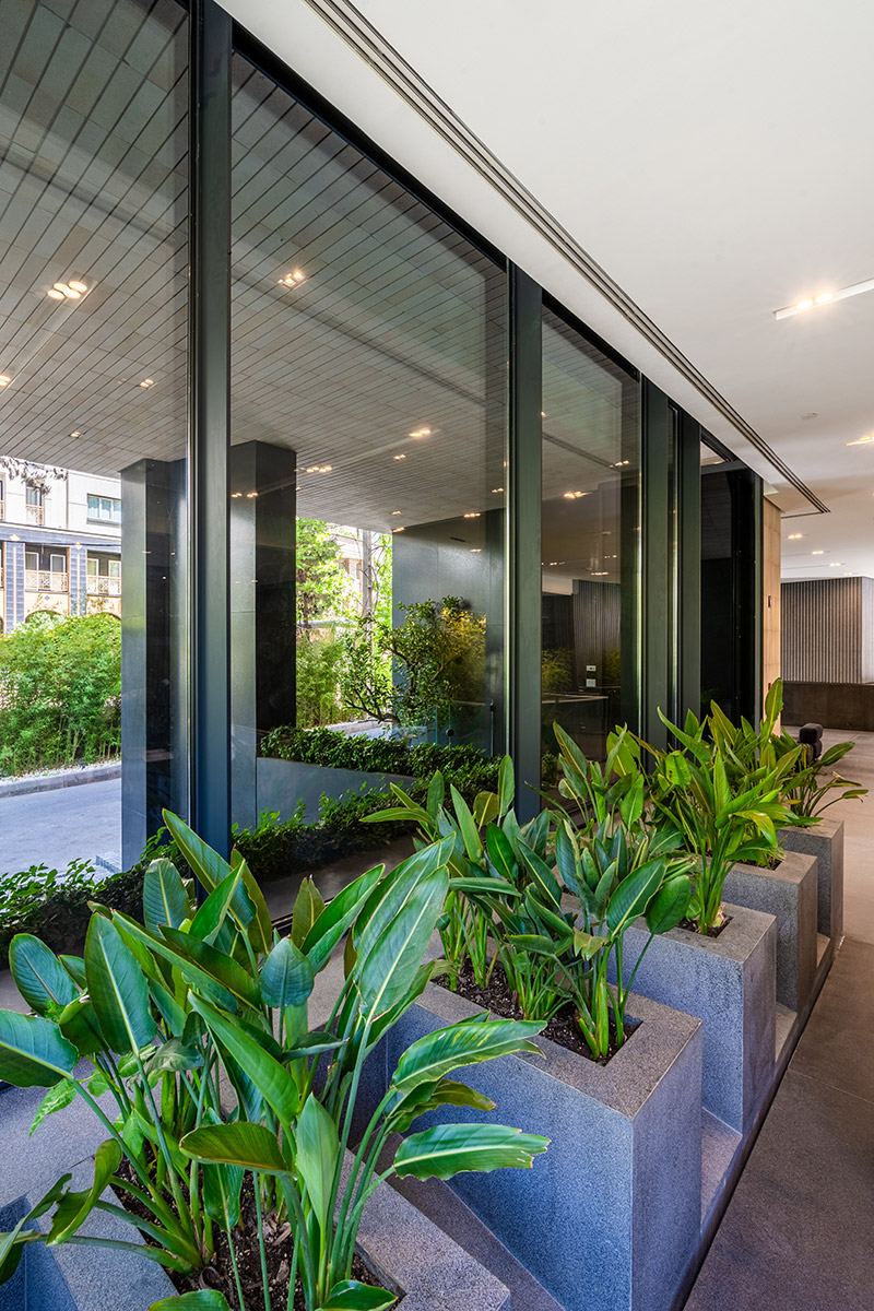 طراحی فضای لابی پروژه لومن با تاکید بر نور طبیعی و سبزینگی داخلی.