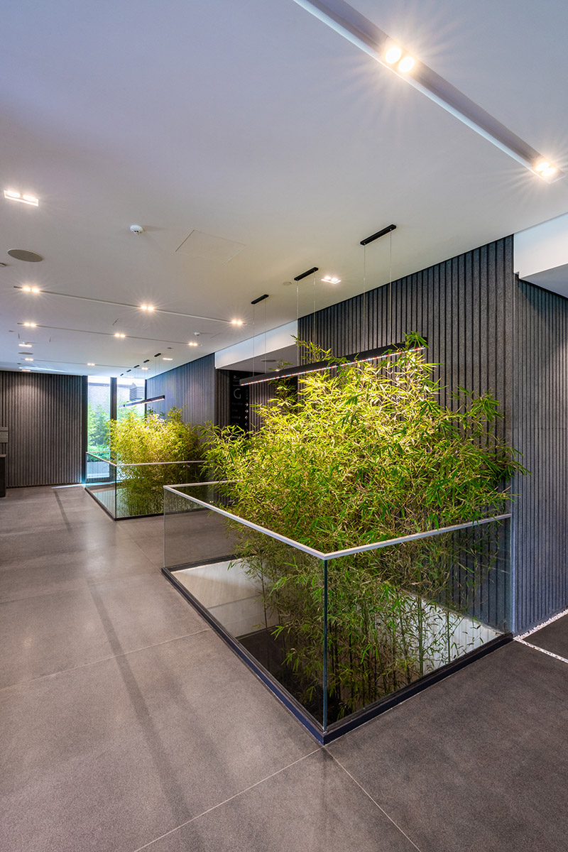 طبقه همکف پروژه لومن با بامبوهای طبیعی و نورپردازی سقفی